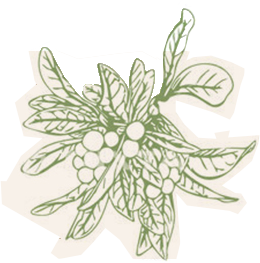 すべてベテランスタッフが対応させていただきます。